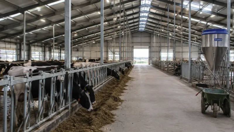 Livestock building — climate monitoring for animals