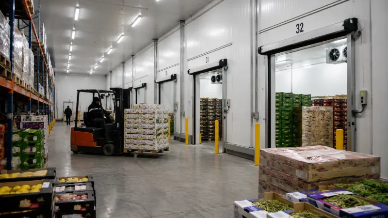 Shelving in an industrial freezer