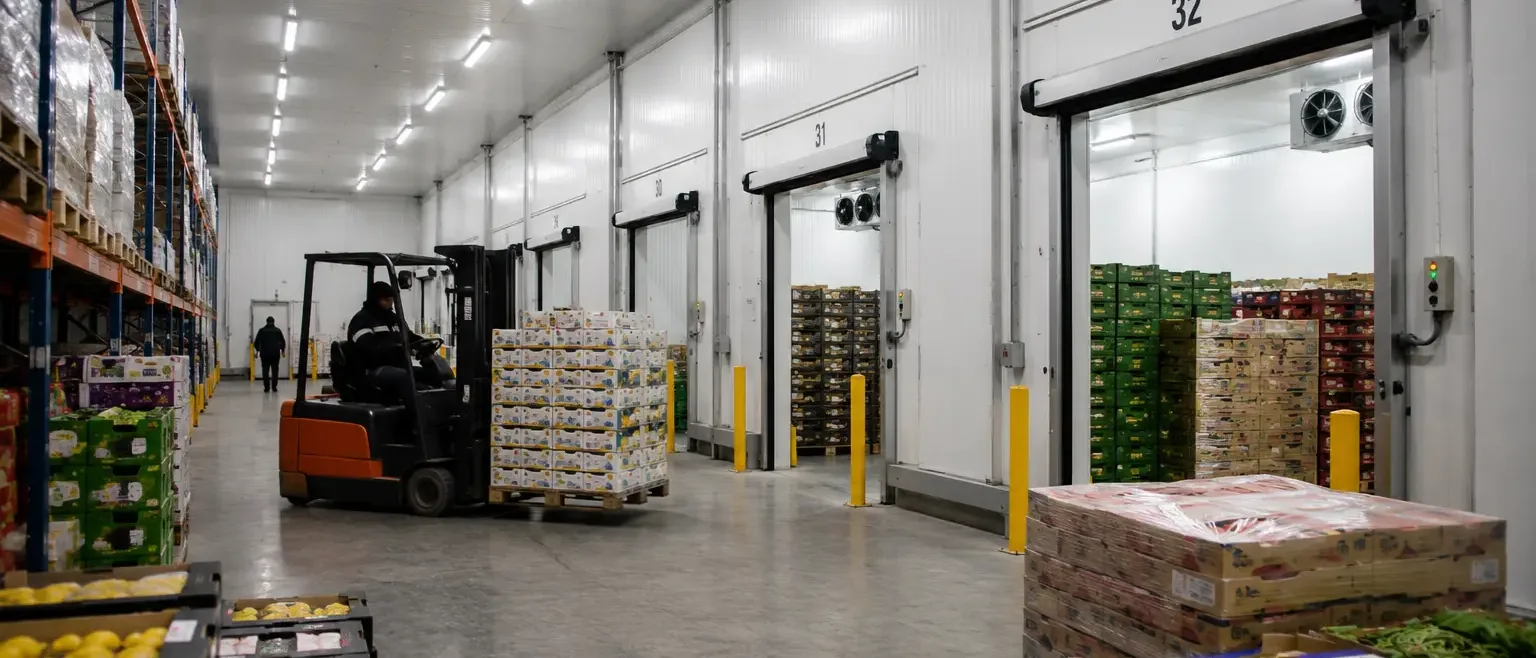 Shelving in an industrial freezer